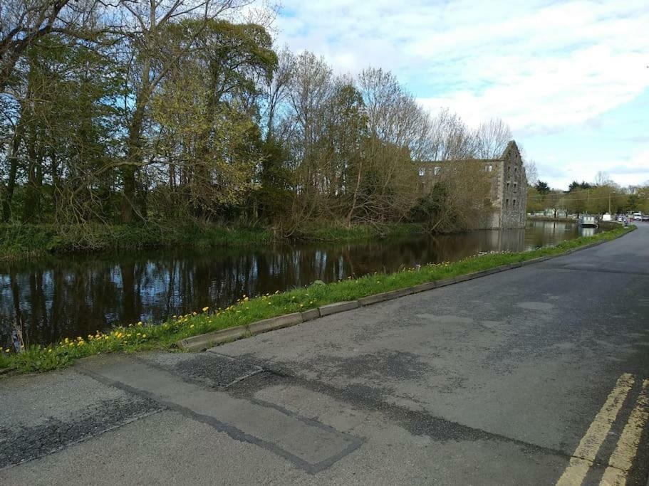 Small Town House, Barrow Lane, Bagenalstown, Carlow المظهر الخارجي الصورة